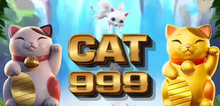 CAT999 BANNER